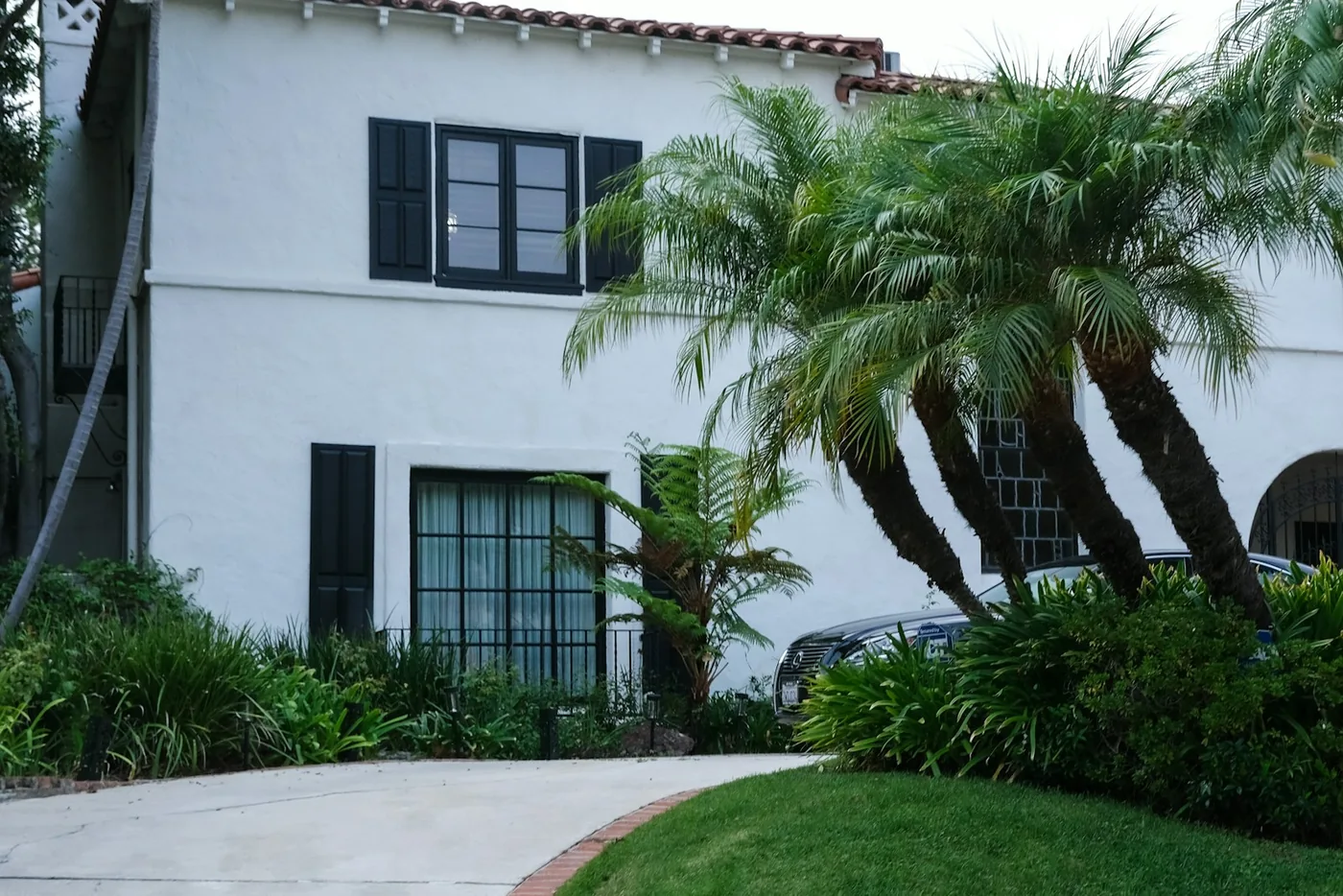 A white rendered house surrounded by greenery